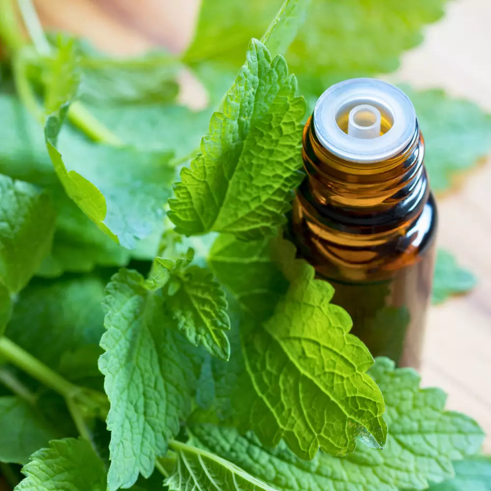 ingredients of hyaluronic acid beautimate