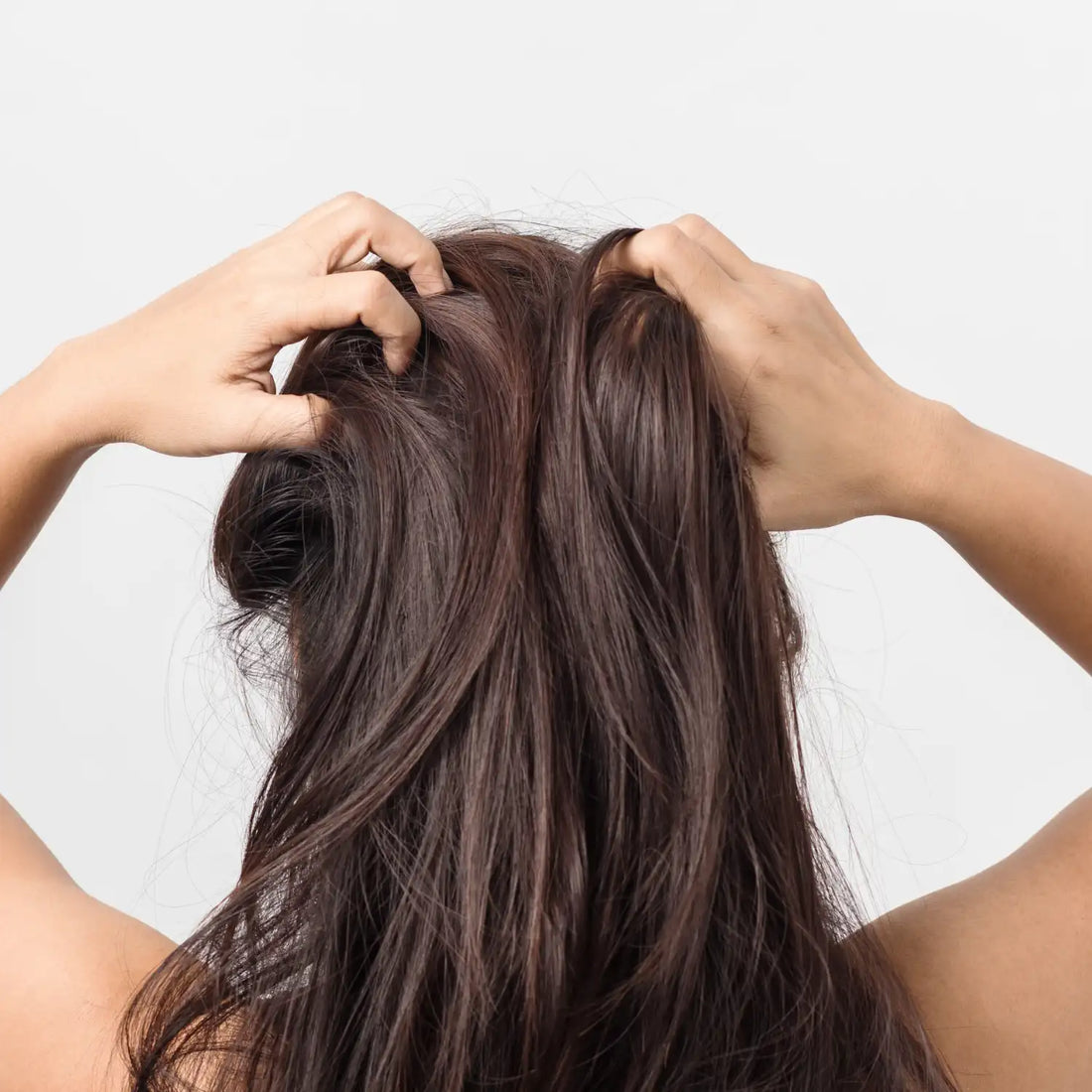 woman rubbing rosemary oil in her hair