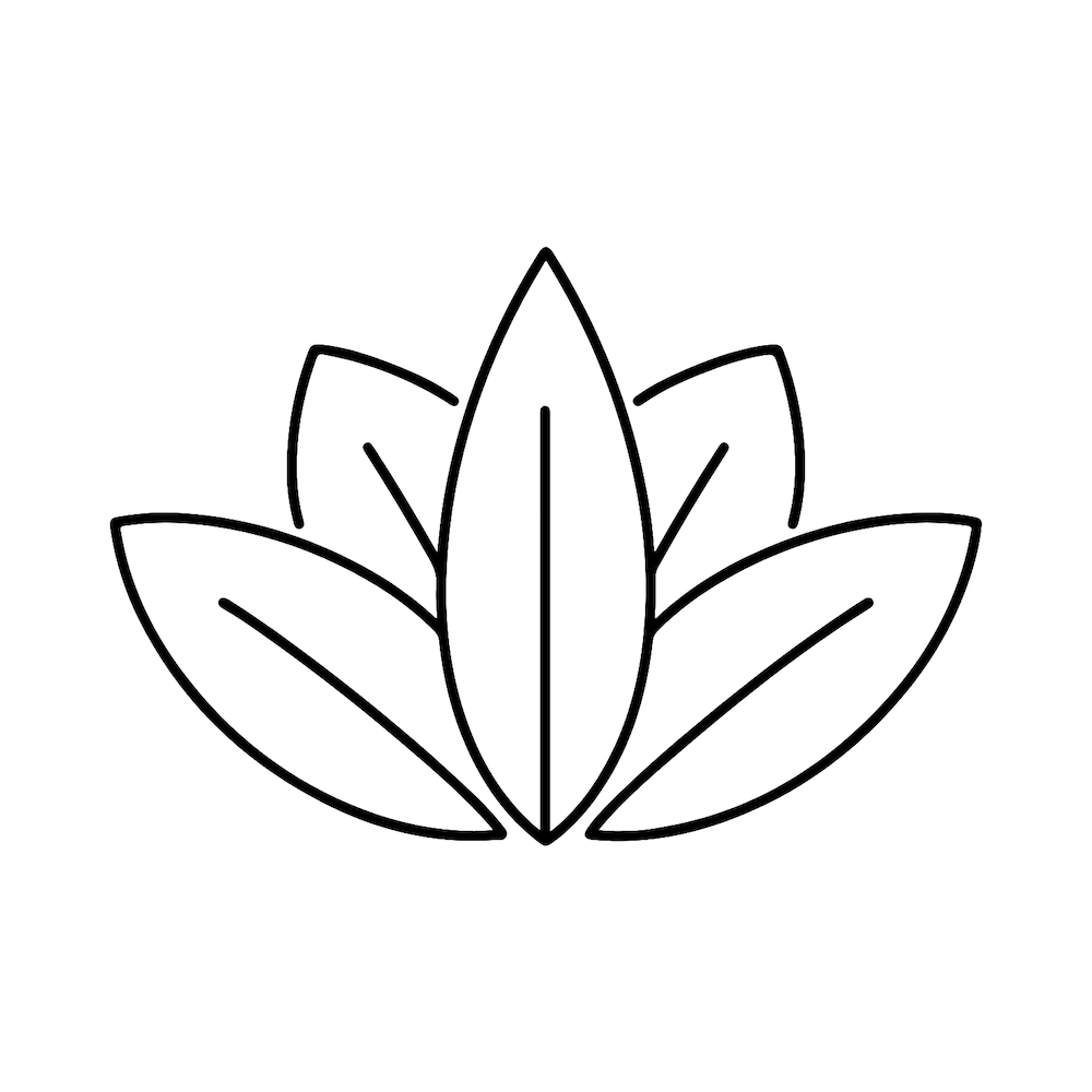 no chemicals natural skincare